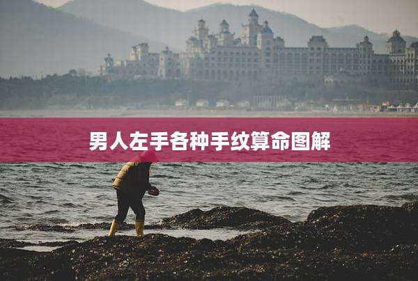男人左手各种手纹算命图解