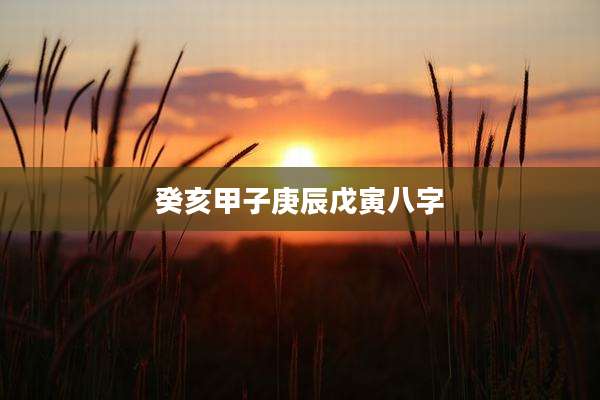 癸亥甲子庚辰戊寅八字