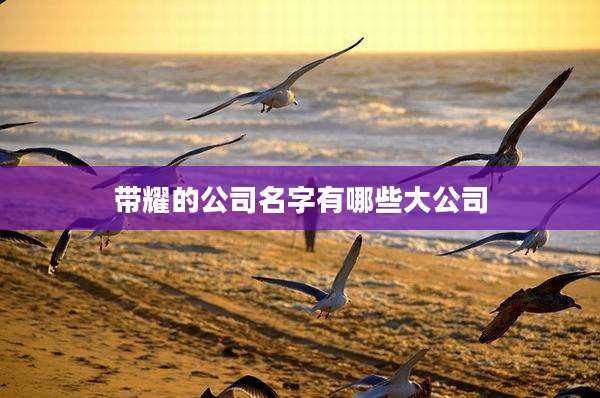 带耀的公司名字有哪些大公司