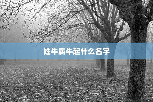 姓牛属牛起什么名字