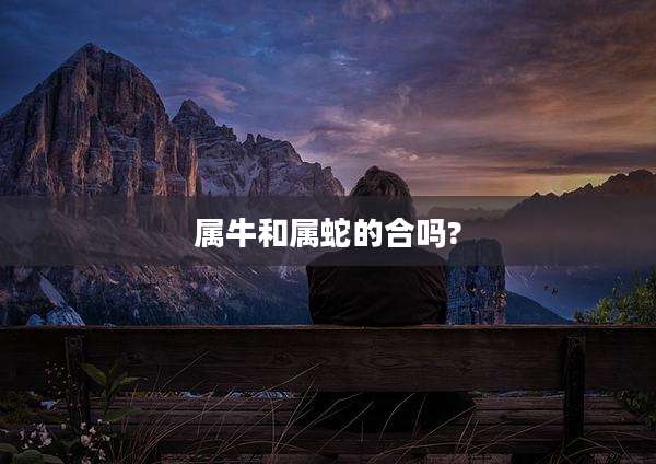属牛和属蛇的合吗?