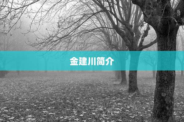 金建川简介