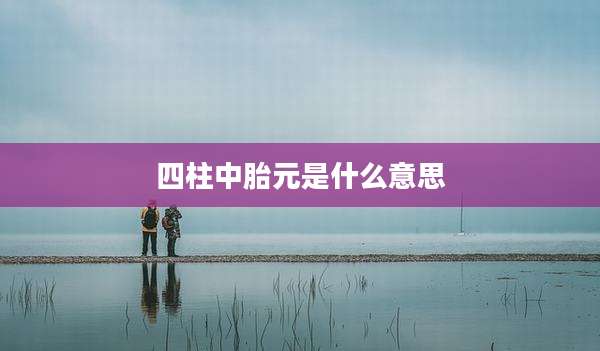 四柱中胎元是什么意思