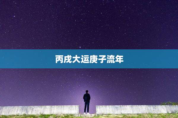 丙戌大运庚子流年