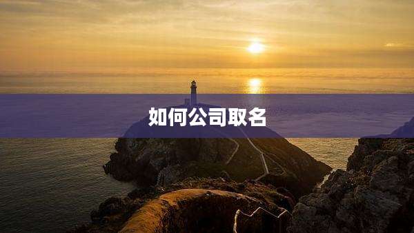 如何公司取名