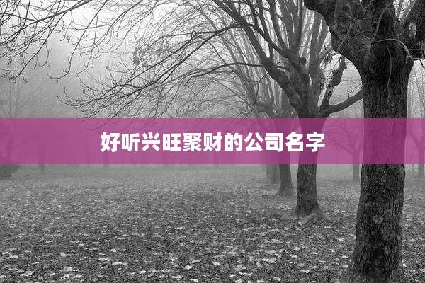 好听兴旺聚财的公司名字