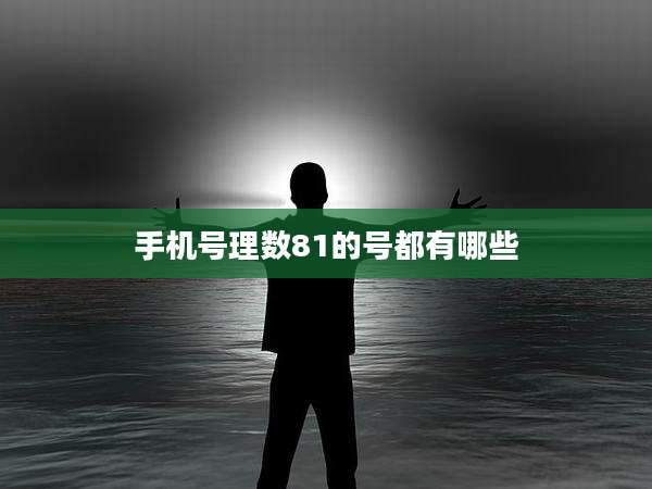 手机号理数81的号都有哪些