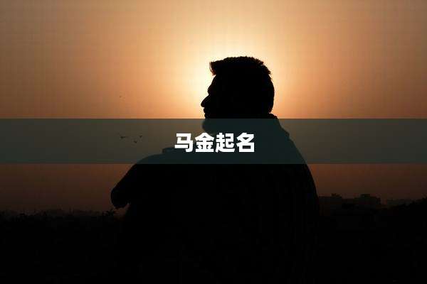 马金起名