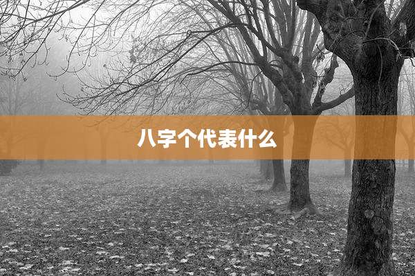 八字个代表什么