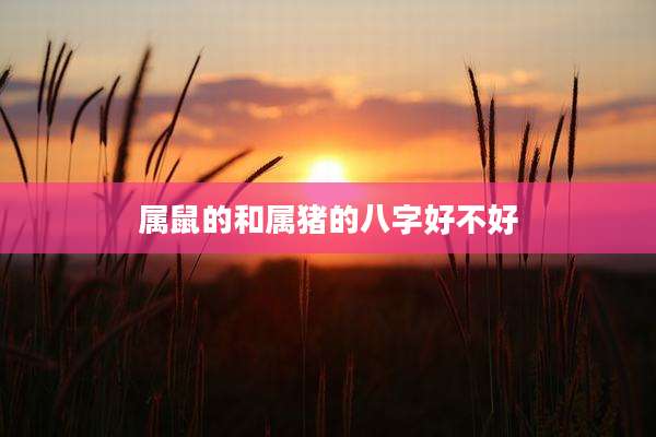 属鼠的和属猪的八字好不好