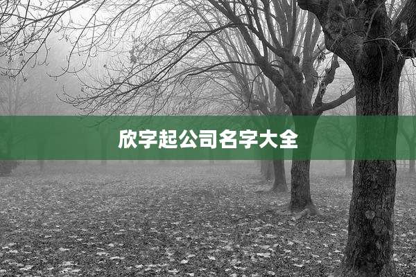 欣字起公司名字大全