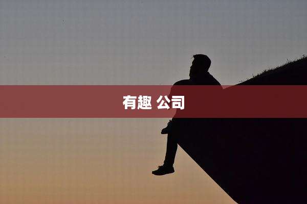 有趣 公司