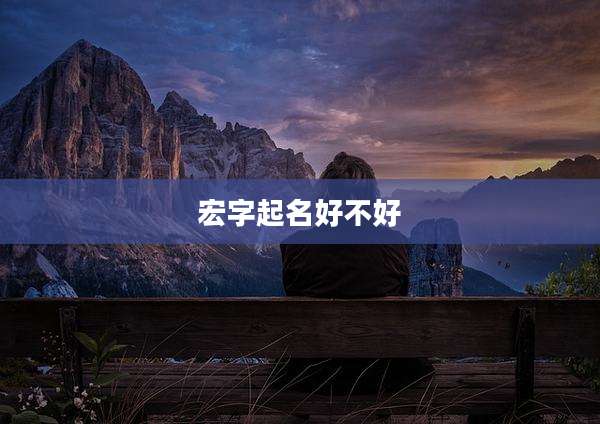宏字起名好不好
