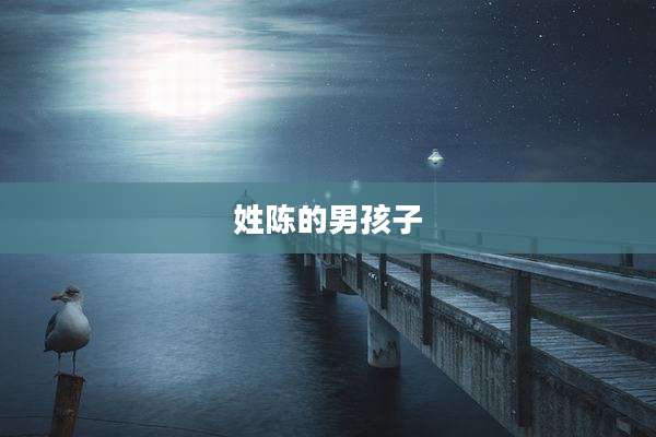 姓陈的男孩子