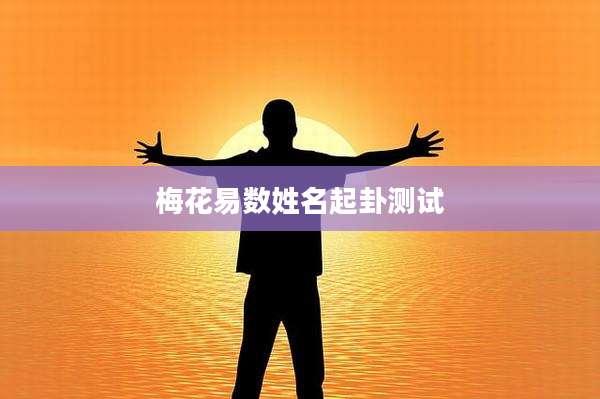 梅花易数姓名起卦测试