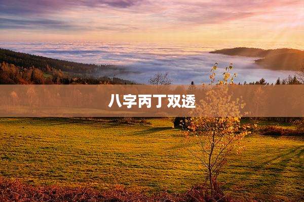 八字丙丁双透