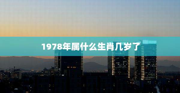 1978年属什么生肖几岁了