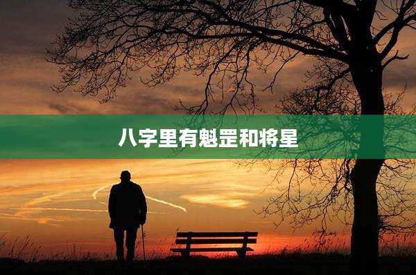 八字里有魁罡和将星
