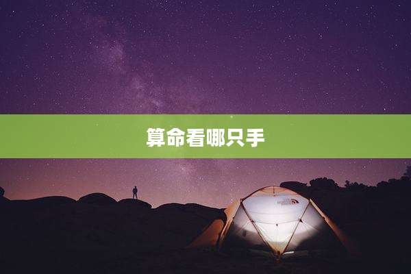 算命看哪只手