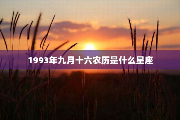 1993年九月十六农历是什么星座