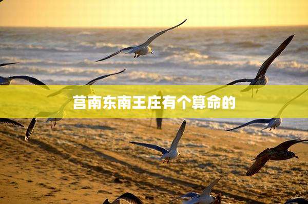 莒南东南王庄有个算命的