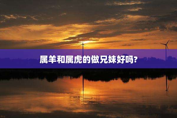 属羊和属虎的做兄妹好吗?