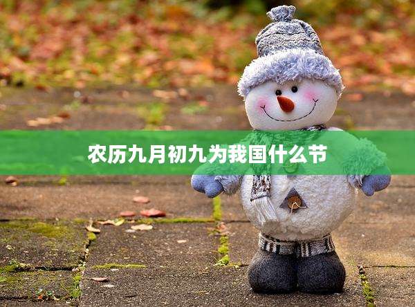 农历九月初九为我国什么节