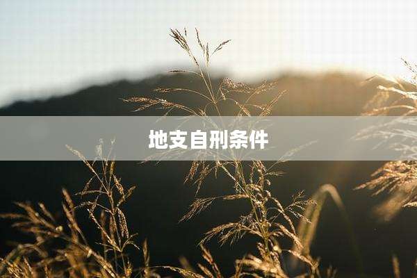 地支自刑条件