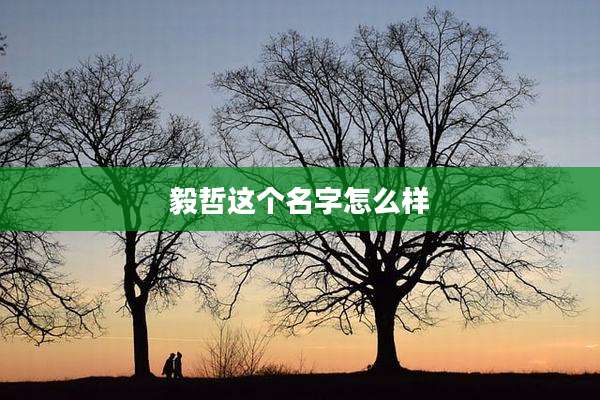 毅哲这个名字怎么样