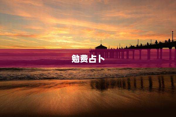 勉费占卜