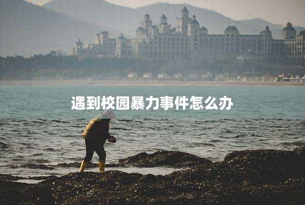 遇到校园暴力事件怎么办