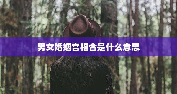 男女婚姻宫相合是什么意思