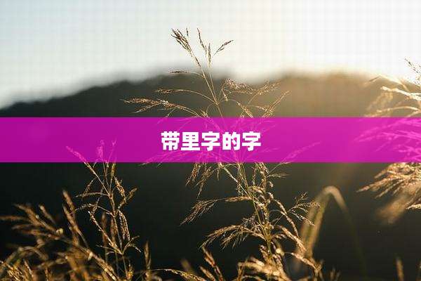 带里字的字