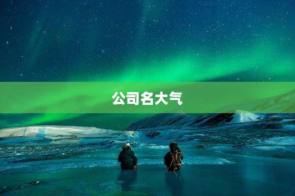 公司名大气