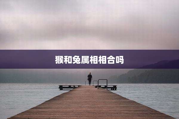 猴和兔属相相合吗