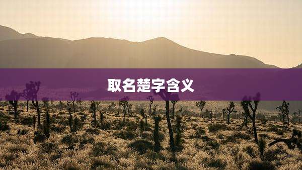 取名楚字含义