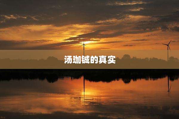 汤珈铖的真实