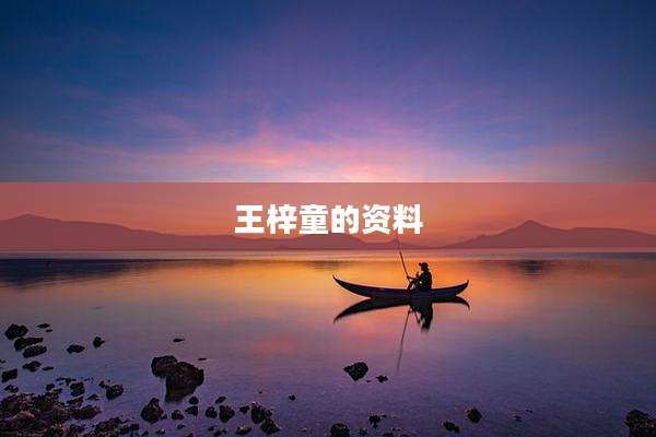 王梓童的资料