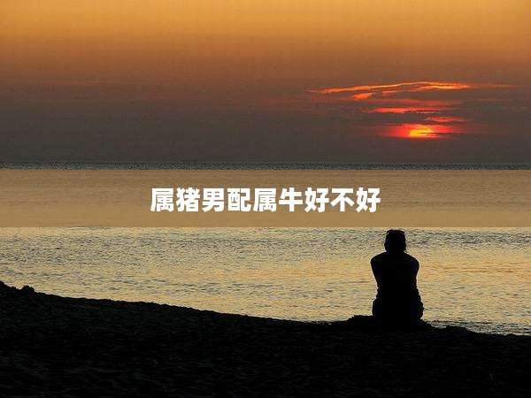 属猪男配属牛好不好