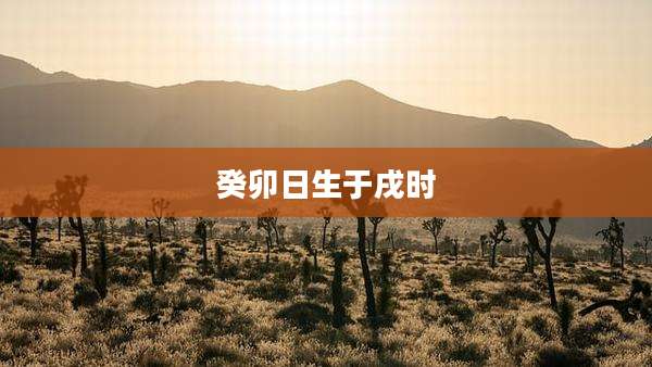 癸卯日生于戌时