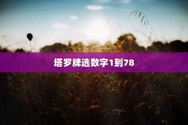 塔罗牌选数字1到78