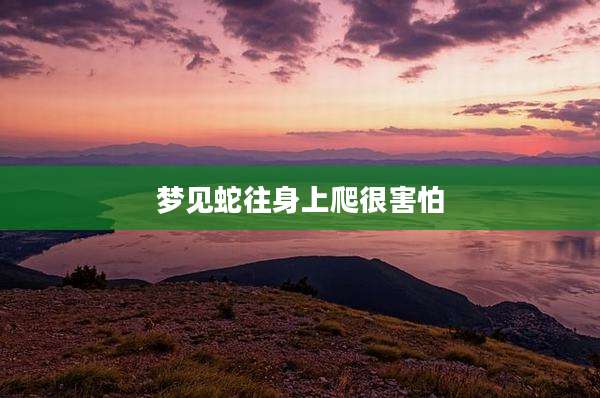 梦见蛇往身上爬很害怕
