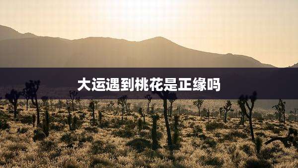 大运遇到桃花是正缘吗