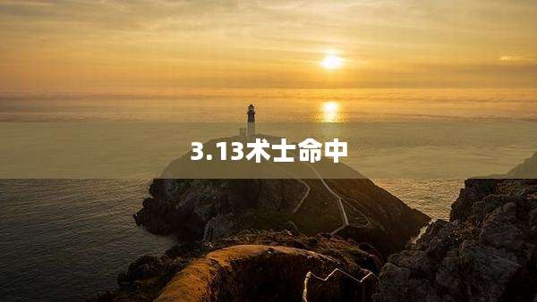 3.13术士命中