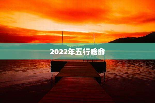 2022年五行啥命