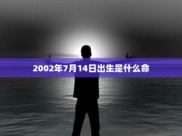 2002年7月14日出生是什么命