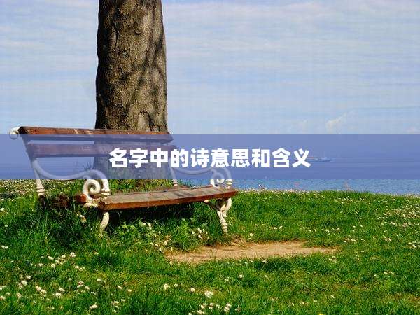 名字中的诗意思和含义