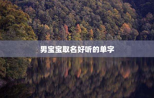 男宝宝取名好听的单字