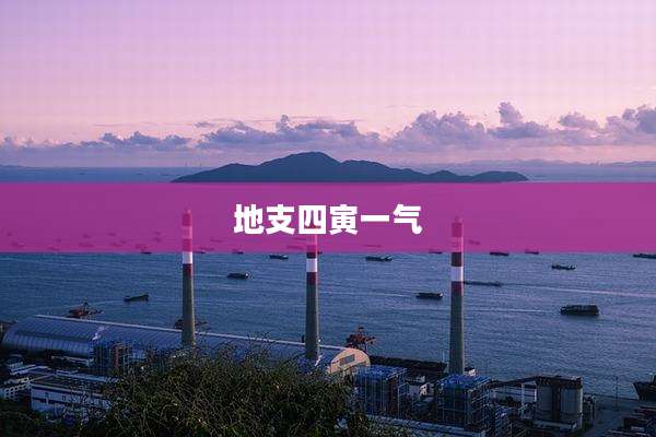 地支四寅一气