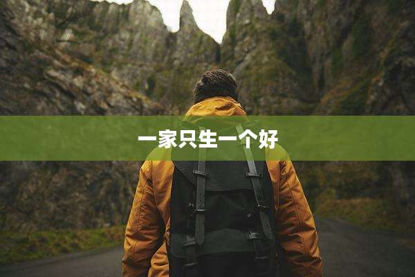 一家只生一个好